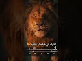 سلاحي سنو سن كافر سلاحي سنو سن كافر