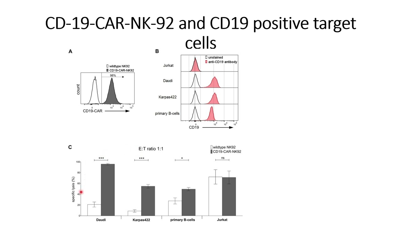 CD-19-CAR-NK-92 cytotoxicity against the CD-19 expressing target