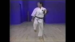 Goju ryu kata. Saifa