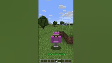 This Minecraft mod broke gravity 😭 #minecraft  #shorts  #minecraftmods