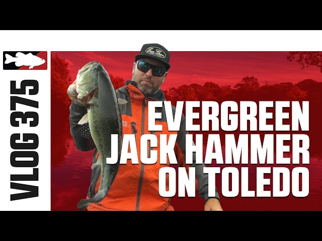 Brett Hite Fishing the Z-Man/Evergreen Jack Hammer Chatterbait