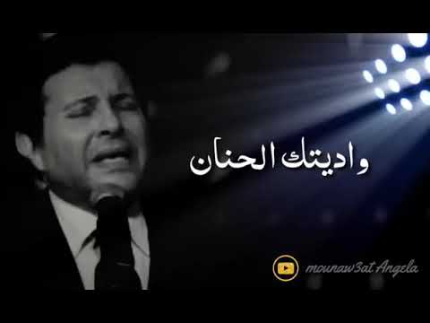 هاني شاكر حسيتك بالأمان وأديتك الحنان