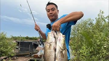 Câu lure cá chẽm Bình Đại - nhất điểm nhì mồi thứ ba thời tiết thứ tư dựa vào may mắn