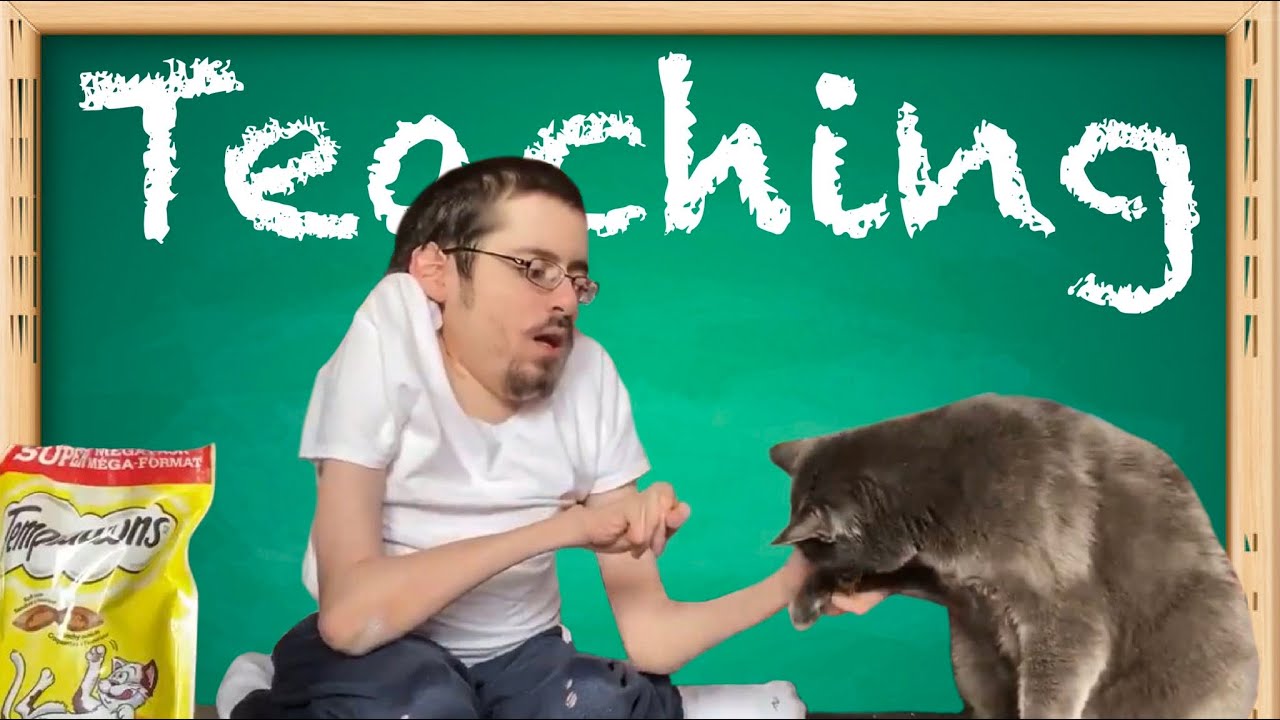 MY CAT WON'T BARK - YouTube