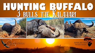 Buffalo hunters dream: Hunt 3 x dagga boys.