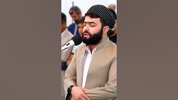 ايات قرآن كريم حالات واتس اب بصوت جميل جدآ🍁پيشه وا قادر الكردي