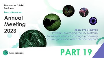 Jean-Yves Tinevez - Transfer research in image-processing to biological users - FBI 2023