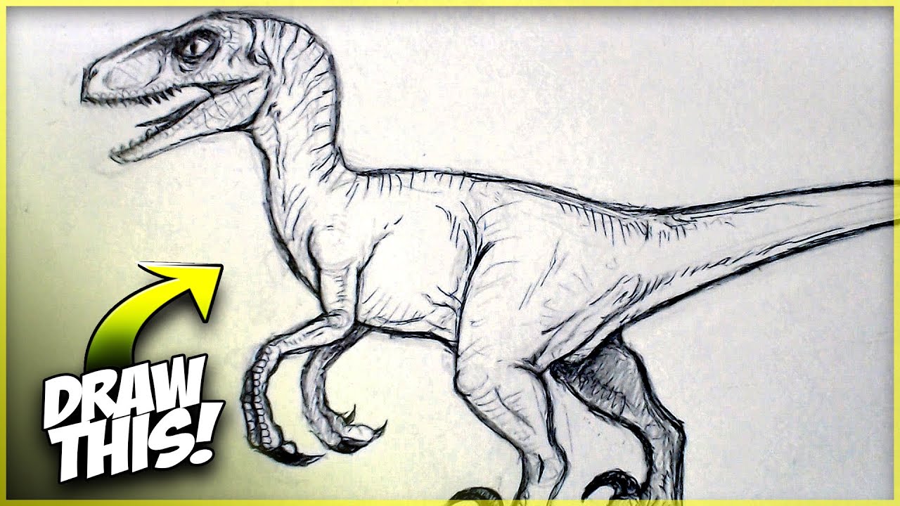 How To Draw A Totally Inaccurate Velociraptor From Jurassic Park No Feathers Here Youtube