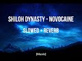 Shiloh dynasty - novocaine || Slowed   Reverb || ChillWaveAudio