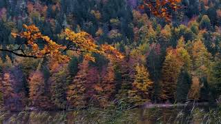 Deep Focus Music - Concentration Music for Studying, ADHD Music, Super Intelligence