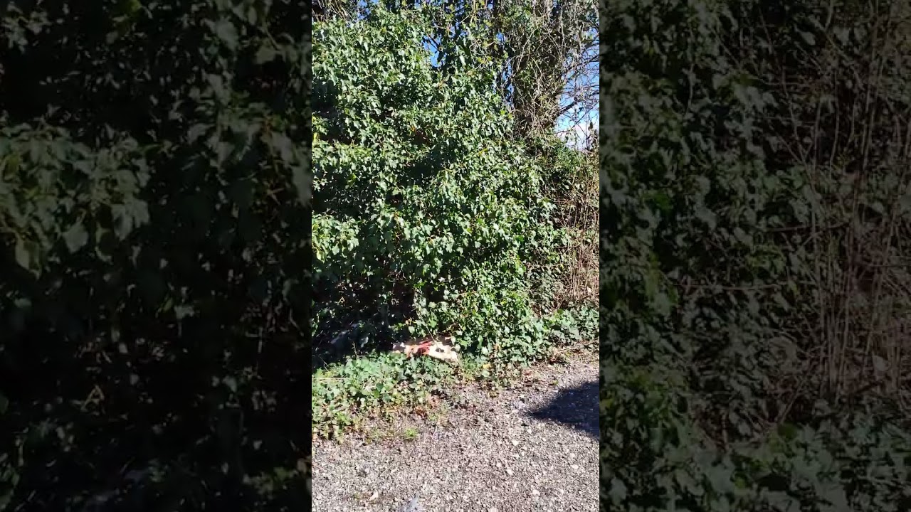 Singola Lokev 150mq + 600mq giardino