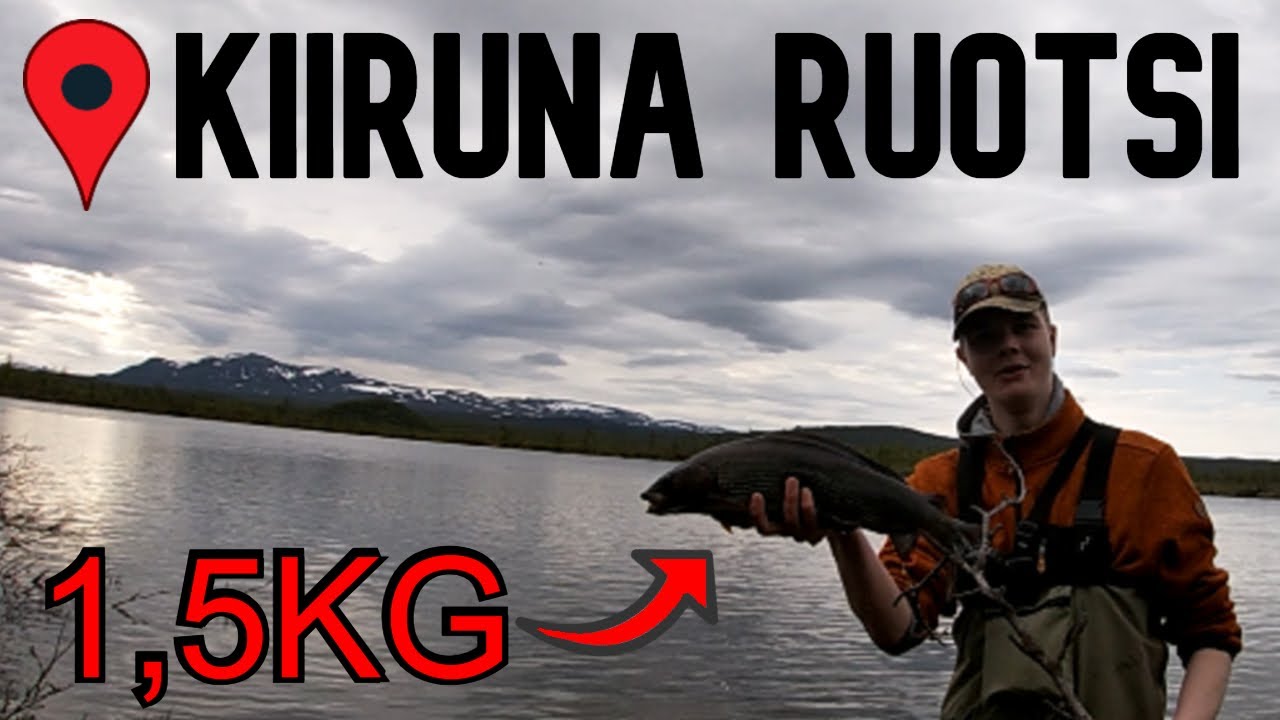 JÄTTI HARJUS RUOTSIN LAPISTA (Kiirunan seikkailu osa 1/3)