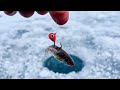 ICE FISHING w/ MINNOWS in Urban Pond on MELTING ICE!!! (New Pb!!!)