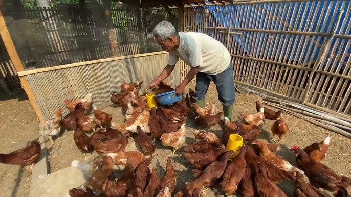 Менің анамның досы порно онлайн