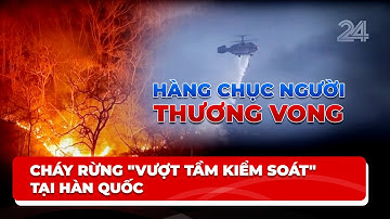Cháy rừng "vượt tầm kiểm soát" tại Hàn Quốc, hàng chục người thương vong | VTV24