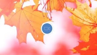 Fragrantica Talks: Новые ароматы на осень