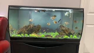 Fluval Mega Flex update