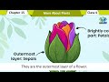 The Green Era 4 Chapter 15 More About Plants