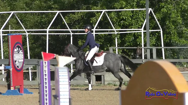 234S Noelle Dever on Mercedes SR Novice Show Jumpi...