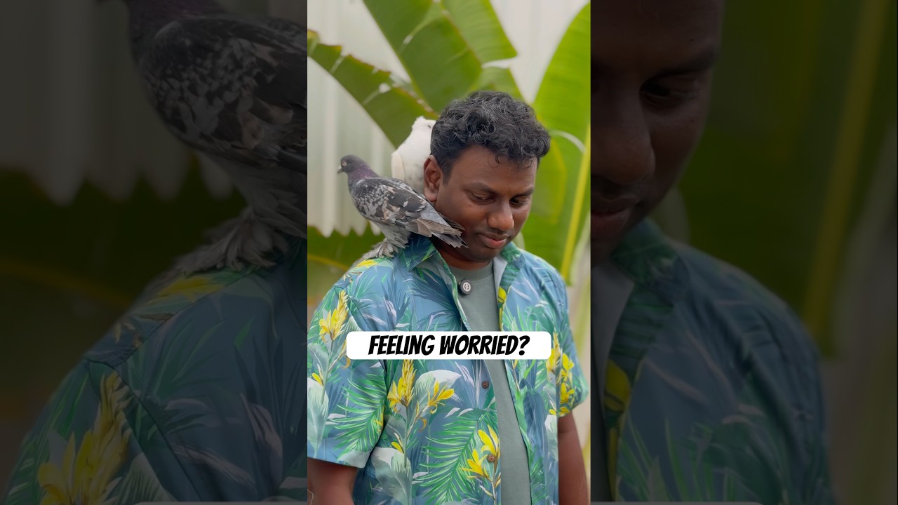 Feeling Worried in Life? Trusting GOD’s Plans for your Life | Christian #Shorts #TrustGod #Faith