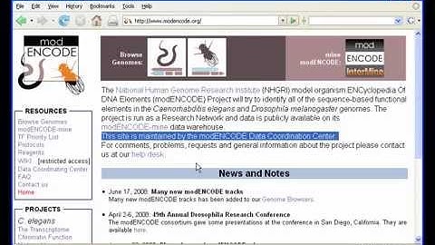 modENCODE Genome Projects