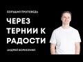 Через тернии к радости | Андрей Борисенко