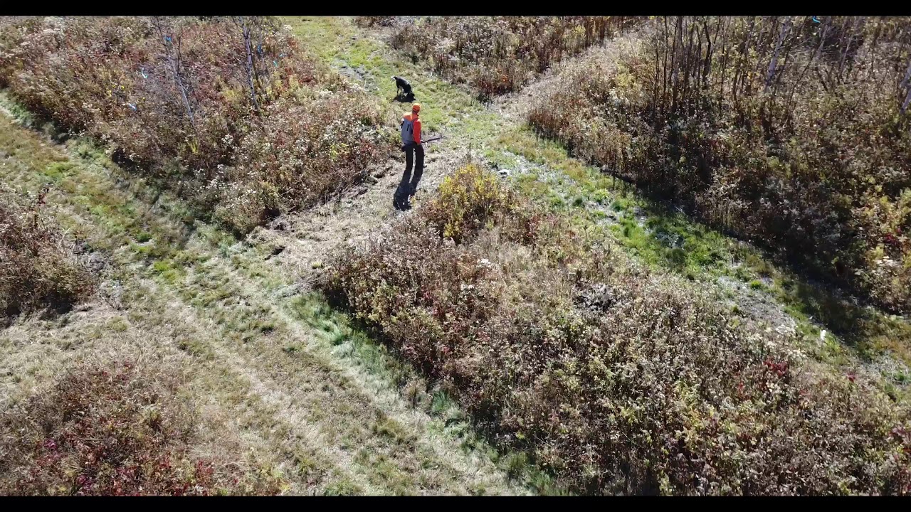 Rmj Ranch RMJ Ranch - YouTube