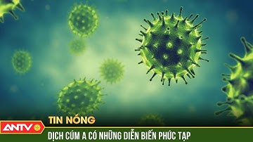 Chủ động phòng ngừa bệnh cúm A trước nguy cơ lây lan rộng | ANTV