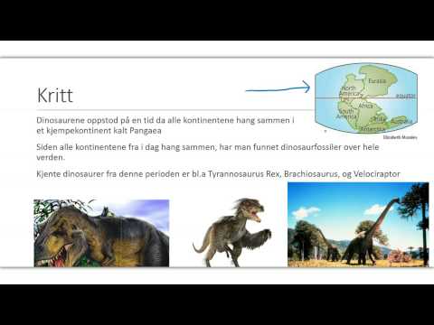 Video: Forskere Har Bestemt Størrelsen På Den Største Dinosaur I Juraperioden - Alternativ Visning