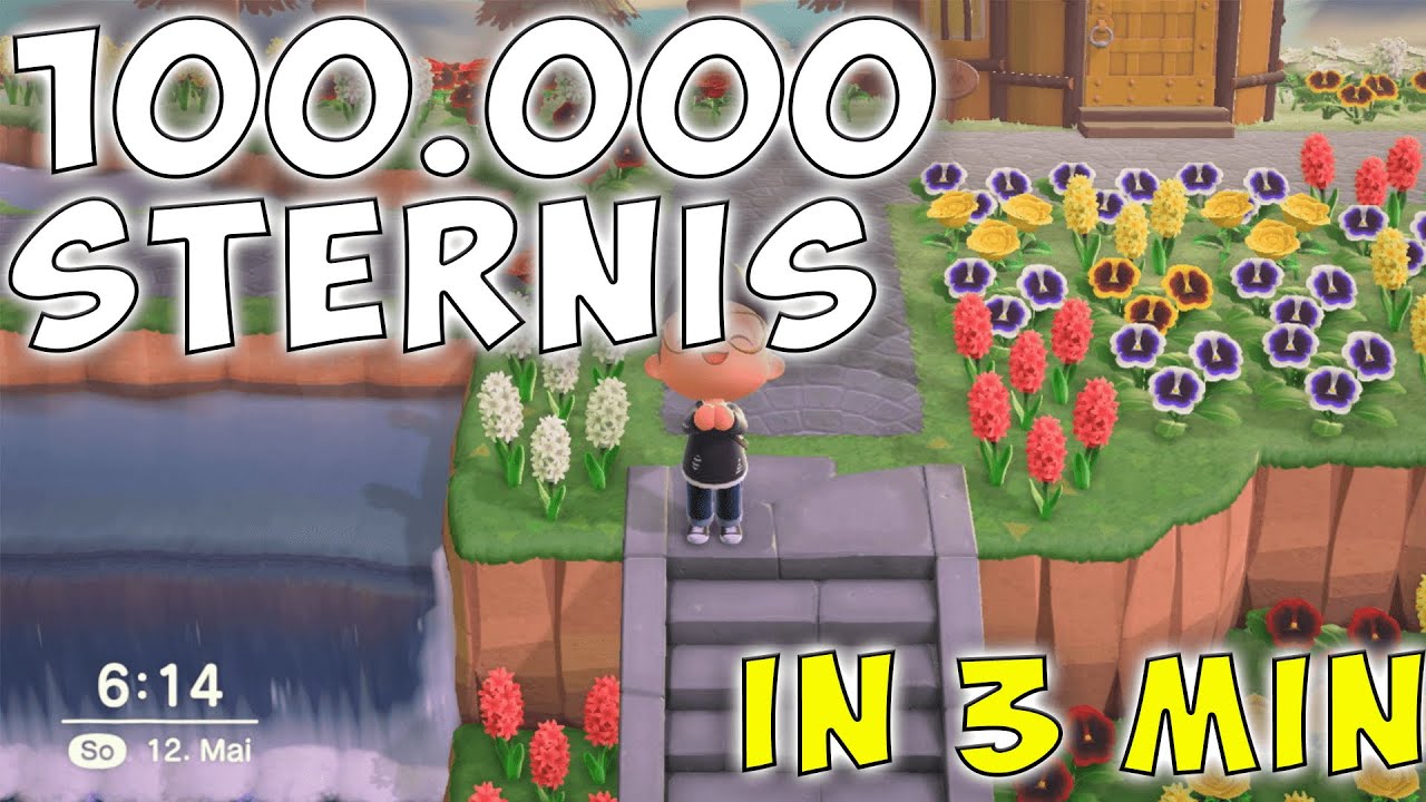 Animal Crossing New Horizons Sternis Animal Crossing New Horizons Sternis