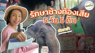 รักษาช้างท้องเสีย “พังซาร่า” 5 วัน 5 คืน!! | หมอโบว์ หมอตัวเล็กกับคนไข้ตัวใหญ่