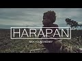 Nick young money  harapan official audio