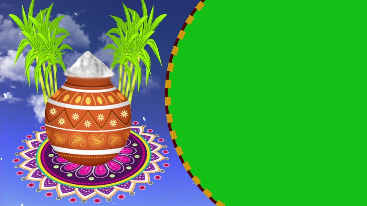 Green Screen Happy Pongal Background FX - YouTube