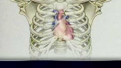 Khám tim - các vị trí nghe tim - tiếng tim (Auscultation Sequence - Heart Examination)