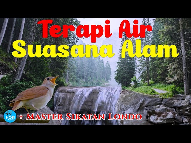 Terapi Air Suasana Alam + Master Sikatan Londo class=
