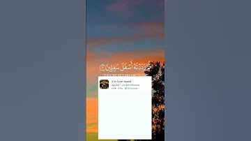 #سورة #التين #القرآن_الكريم #قرآن #اكسبلور #دويتو #آيات #راحة_نفسية