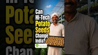 Can Hi Tech Potato Seeds Change India?