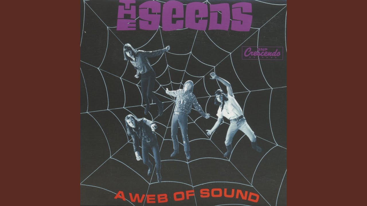 THE SEEDS & A WEB OF SOUND ガレージパンクCD シード Amazon.com: The Seeds / A Web of Sound: CDs & Vinyl