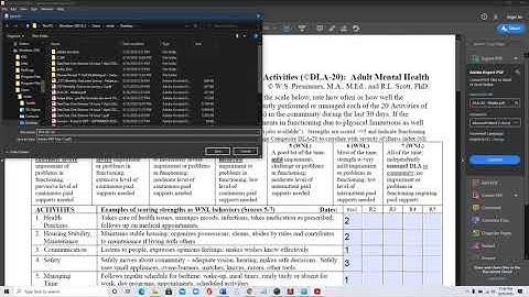 Using the DLA-20 (fillable) distributed by BDIHS