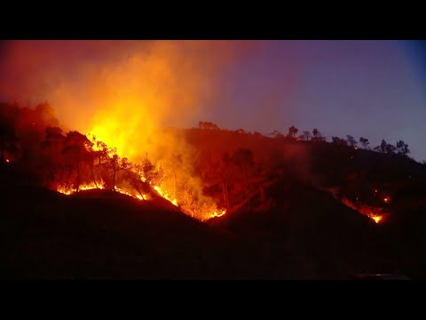 ცეცხლის ახალი კერები შავნაბადაზე | ვითარება რუსთავი-თბილისის მაგისტრალზე