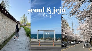 korea vlog | spring in seoul and jeju , lots of cafes and eating