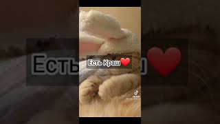 пой эту песню если ты..... 💫💌❣️