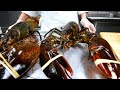 New York Food - GIANT FRIED LOBSTERS WITH EGGS Park Asia Brooklyn Seafood NYC