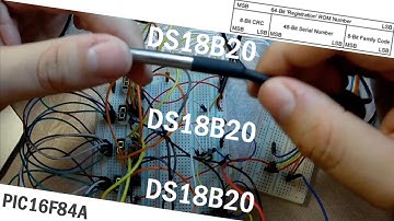 70. Применение алгоритма определения адресов датчиков DS18B20 (Урок 10. Практика)