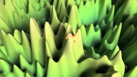 Liouville Brownian motion