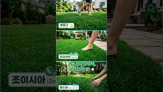 미국 단독주택 살 때 절대 모르면 안 되는 잔디 3가지, 총정리