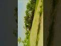 karta rahata hun main bus Teri Hi baten #song #viral #popular song #viral song #singga