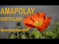 AMAPOLAY / LETRAS / La CANCION más linda en Quechua, una recopilación de José Maria Arguedas/KARAOKE