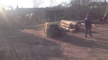 Export timber in containers. Loading containers.