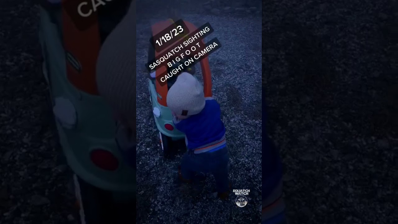 A BIGFOOT IN MY BACKYARD! 